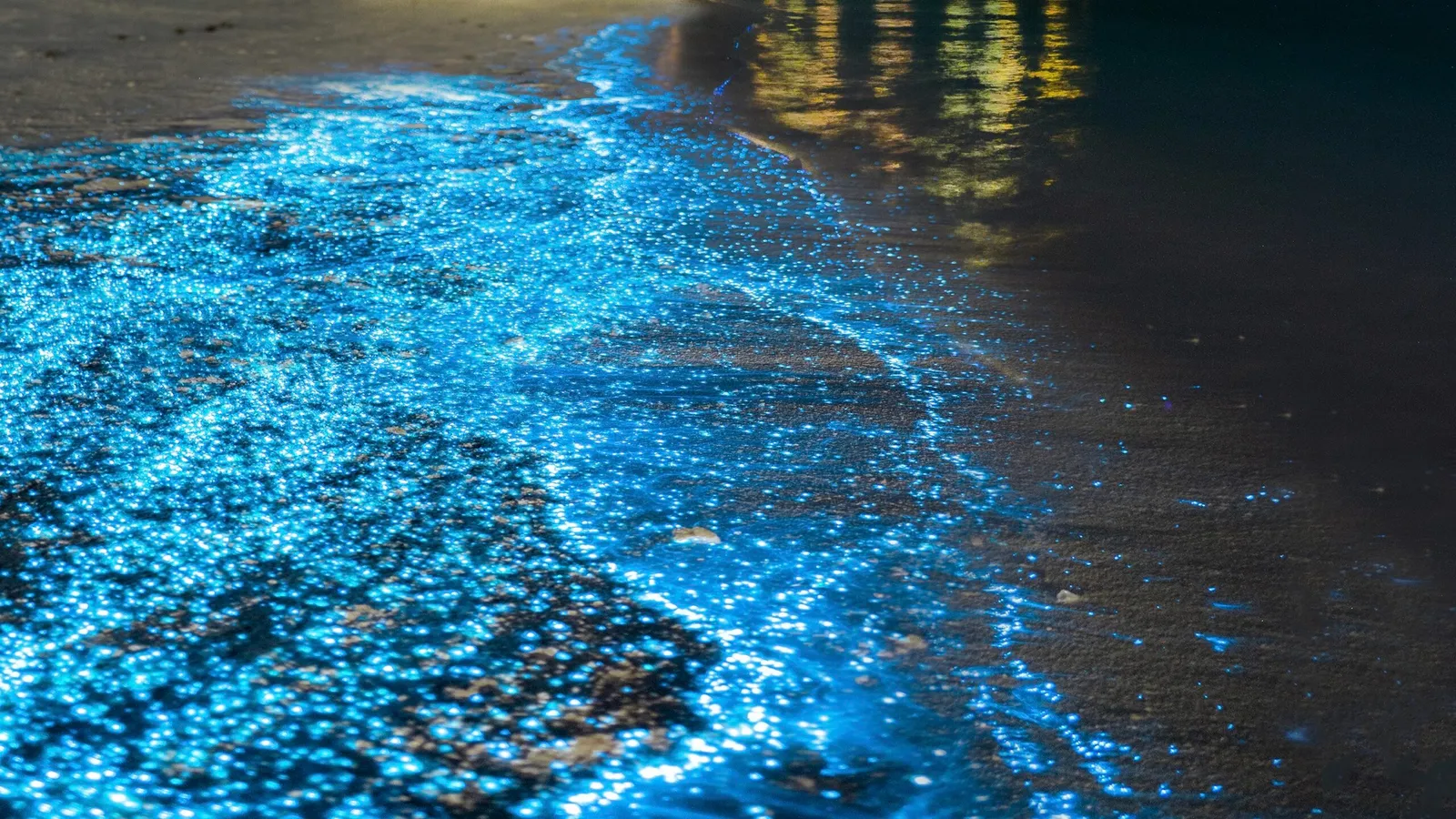Glow in the dark beaches