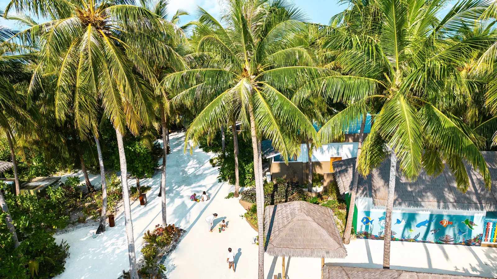 Free Seaplane — Cocoon Maldives