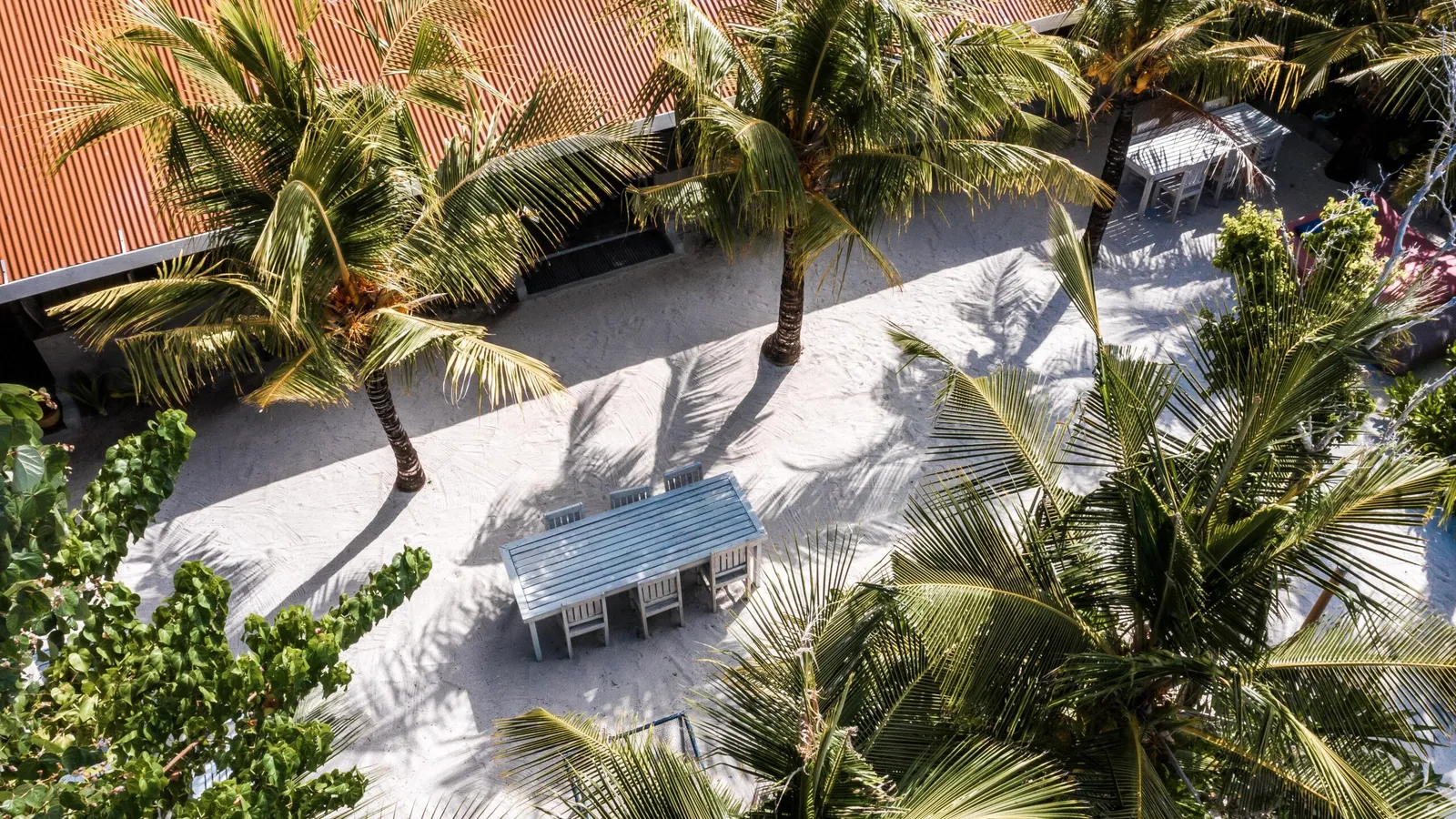 Tropical Tree Fehendhoo