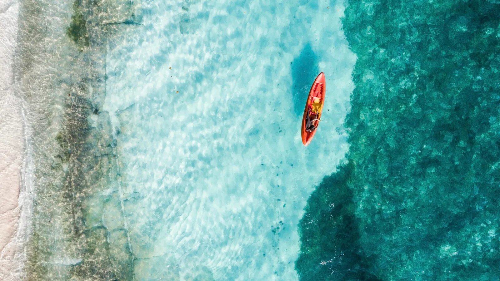 Aerial of waterspouts